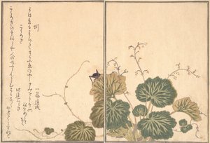 Lombriz de tierra Mimizu, Grillo Korogi de Kitagawa Utamaro