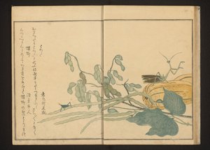 Saltamontes en la judía y mantis religiosa en el melón de Kitagawa Utamaro