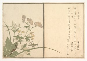  de Kitagawa Utamaro