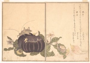 de Kitagawa Utamaro