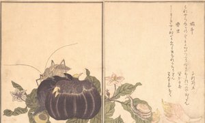 Caracol terrestre Katatsumuri, Saltamontes gigante Kutsuwamushi, 1788