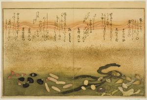 Minashi-gai, shio-gai, katatsu-gai, miso-gai, chijimi-gai y chigusa-gai, del libro ilustrado "Regalos de la Marea Baja (Shiohi no tsuto)"