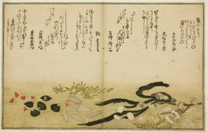 Minashi-gai, shio-gai, katatsu-gai, miso-gai, chijimi-gai y chigusa-gai, del libro ilustrado "Regalos de la marea baja (Shiohi no tsuto)"