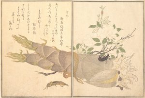 Grillo topo Kera, tijereta, Hasami-mushi..., 1788 de Kitagawa Utamaro