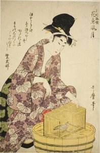 Murasaki Shikibu: Pájaro, de la serie "Mujeres famosas y sus poemas sobre flores, pájaros, viento y luna (Meifu eika kacho fugetsu)" de Kitagawa Utamaro