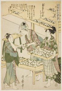 No. 6 (roku), de la serie "Mujeres dedicadas a la industria de la sericultura (Joshoku kaiko tewaza-gusa)"