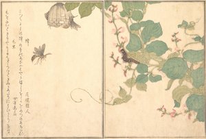 Avispa de papel Hachi, oruga peluda Kemushi..., 1788 de Kitagawa Utamaro