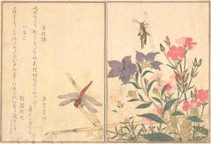 Libélula roja Akatonbo, langosta Inago..., 1788