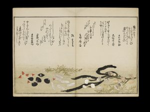 Shiohi no tsuto (Regalos de la Marea Baja), conocido como el Libro de las Conchas, 1789 de Kitagawa Utamaro