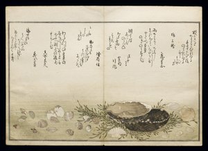 Shiohi no tsuto (Regalos de la Marea Baja), conocido como el Libro de las Conchas, 1789 de Kitagawa Utamaro