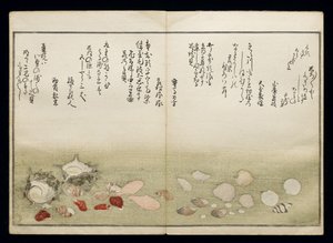 Shiohi no tsuto (Regalos de la Marea Baja), conocido como el Libro de las Conchas, 1789 de Kitagawa Utamaro