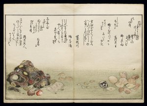 Shiohi no tsuto (Regalos de la Marea Baja), conocido como el Libro de las Conchas, 1789 de Kitagawa Utamaro