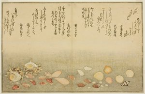 Shiro-gai, namima-gashiwa, makura-gai, iro-gai, aza-gai, sadae-gai, del libro ilustrado "Regalos de la Marea Baja (Shiohi no tsuto)"