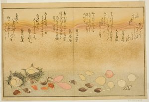 Shiro-gai, namima-gashiwa, makura-gai, iro-gai, aza-gai, sadae-gai, del libro ilustrado "Regalos de la marea baja (Shiohi no tsuto)" de Kitagawa Utamaro