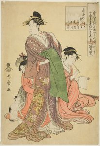 Takigawa de los Ogiya