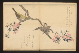 Herrerillo y curruca de monte de Kitagawa Utamaro