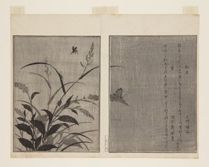 Grillo de árbol y luciérnaga de Kitagawa Utamaro