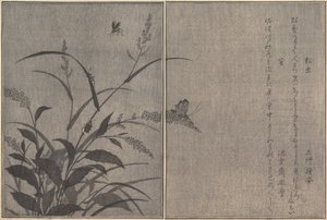 Grillo de Árbol Matsumushi, Luciérnaga Hotaru... de Kitagawa Utamaro