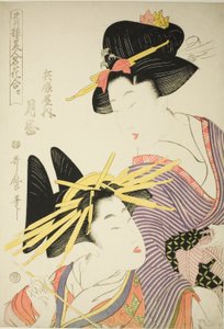 Tsukioka del Hyogoya (Hyogoya uchi tsukioka), de la serie "Seiro bijin meika awase" de Kitagawa Utamaro