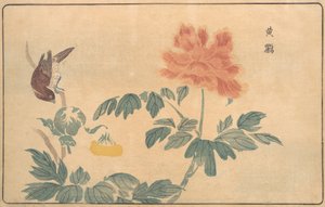 Oriole chino y peonías, 1789
