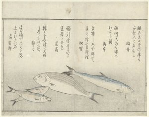 cuatro peces de Kitao Masayoshi