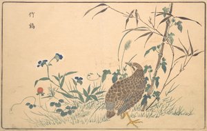 Zhu ji