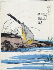 Pájaro. Dibujo japonés de Kitao Kosuisai