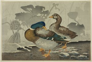 Un par de patos junto a un estanque de lotos