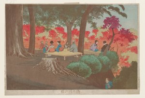 Vista de Takinogawa de Kobayashi Kiyochika