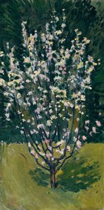 Retoño floreciente de Koloman Moser