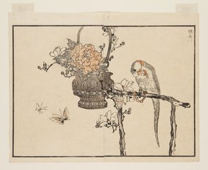 Loro (Inko) de Kono Bairei