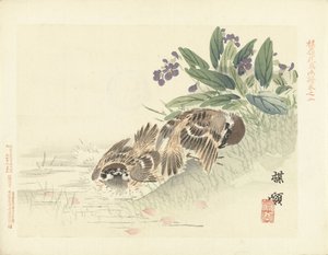 dos gorriones Bosquejos de flores y pájaros de Bairei (título de la serie) Barei kacho gafu (título de la serie sobre el objeto) de Kono Bairei