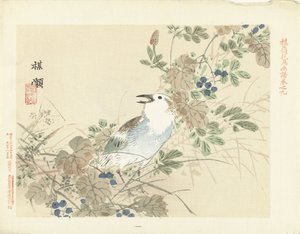 Pájaro cantor entre pastos de otoño Bosquejos de flores y pájaros de Bairei (título de la serie) Barei kacho gafu (título de la serie sobre el objeto) de Kono Bairei