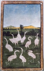 Garzas en un campo, una de un conjunto de cartas de juego que representan escenas de cetrería cortesana, Área del Alto Rin, c.1440-45