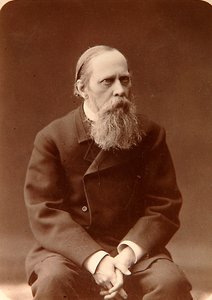 Mijaíl Saltykov-Shchedrin, autor ruso, 1880s de Konstantin Schapiro