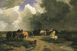 Caballos bajo la lluvia