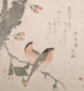 Camachuelos y Flores de Cerezo de Kubo Shunman