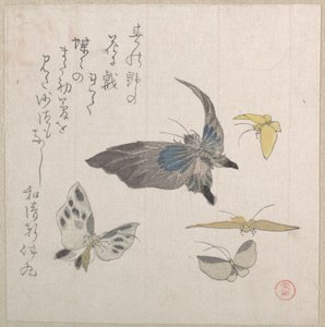  de Kubo Shunman