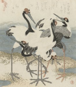 Grullas junto al agua, c.1816