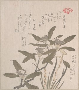  de Kubo Shunman