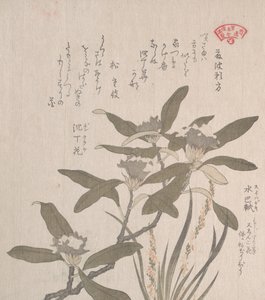 Daphne odora y Mojisuri-so, siglo XIX de Kubo Shunman