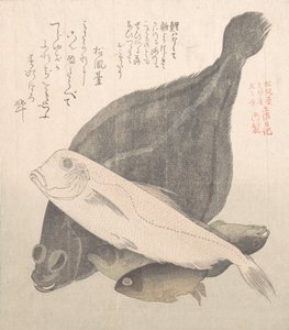Platija y otros peces, siglo XIX de Kubo Shunman