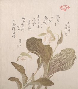 Flores de Hotei, siglo XIX de Kubo Shunman