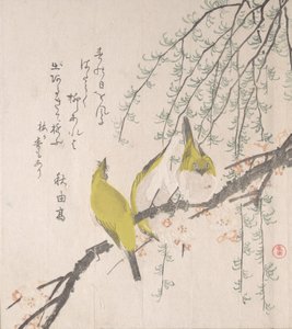 Zosterops japonicus con ciruelo y sauce de Kubo Shunman