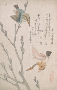 Martines y sauce de gato, siglo XIX de Kubo Shunman