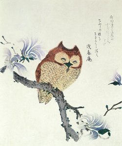 Búho en una rama de magnolia (tinta y color sobre papel) de Kubo Shunman