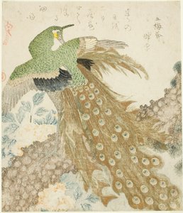 Pavo real, pino y peonías, de la serie "Un conjunto de tres pétalos (San hira no uchi)" de Kubo Shunman
