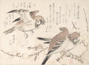 Gorriones y Flores de Ciruelo de Kubo Shunman