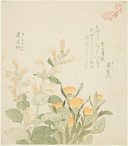 La caléndula común y las flores de Rajoman de Kubo Shunman