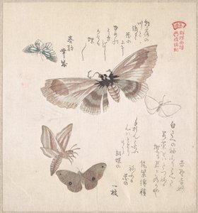 de Kubo Shunman